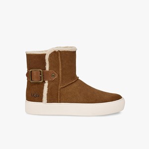 Ugg Aika Suede Women Sneakers Brown (9501INTXP)